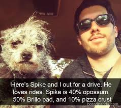 Veterinary Specialty Center