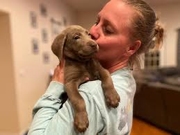 It's July and Liberty is celebrating all the birthday fun 💕 Drop an emoji  to show us how you're celebrating your little one this month! 🎂 #PAWPatrol  #PAWPatrolBirthday