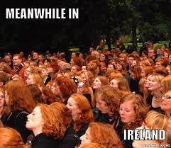 Meanwhile In Funny Meme Pictures Meanwhile In