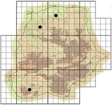 Image result for Cadaba termitaria