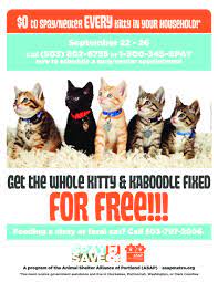 Maybe you would like to learn more about one of these? It S That Time Get Your Cats Kittens Fixed For Free During Portland S Kitty Kaboodle Special At Six Area Shelters See Fl Animal Shelter Cat Call Feral Cats