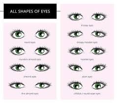 Pin By Elynleonggg On Photo In 2020 Eye Shape Chart Eyeliner For Eye Shape Different Types Of Eyes