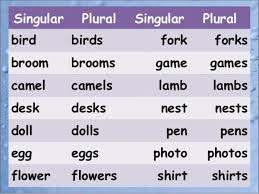 Singular Plural Nouns In English Plurals Singular And Plural Nouns Singular And Plural