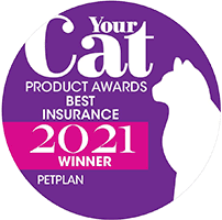 Petplan pet insurance company looked at 2016 claims data to determine the most common condition for which claims were submitted by month. Pet Insurance From The Uk S Favourite Provider Petplan
