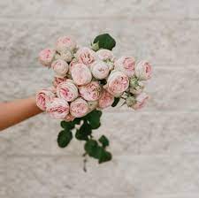 If you have visited flowers from lisa's located in caneland central, just write a short review for feauture customers and give rating via number of stars. Flowers From Lisas Home Facebook