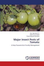 This piece elaborates the major insect pests and diseases of tomatoes with pictures and their effective management practices. Major Insect Pests Of Tomato A Step Towards Eco Friendly Management Harshita A P Ms Saikia Dilip Kumar Borkakati Rudra Narayan 9786139815388 Amazon Com Books
