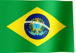Close up motion loop background footage 1080p full hd video. Brazil Flag Gif All Waving Flags