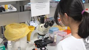 Listeria monocytogenes is the species of pathogenic bacteria that causes the infection listeriosis. Mouse Models Of Helicobacter Infection And Gastric Pathologies Protocol Translated To German