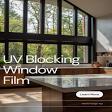 Sun Control Film — Home & Residence