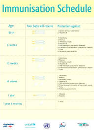 Dog Vaccination Schedule Chart India Pdf Www