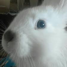 Nous sommes un peu tristes. Que Es La Inteligencia Emocional Brainly