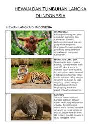 Nama harimau ini adalah harimau malaya. Mengurai Sengkarut Bencana Lingkungan Refleksi Jurnalisme Lingkungan Dan Deep Ecology Di Indonesia