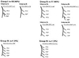 Radial and ulnar arteries, palmaris longus, flexor carpi ulnaris. Schematic Drawing Of The Grouped Muscular Branches Of The Ulnar Nerve Download Scientific Diagram