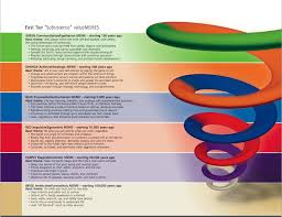 Spiral Dynamics Visuals The Liturgists