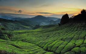 Check spelling or type a new query. Copthorne Hotel Cameron Highlands 2020 Best Hotel In Cameron Highland
