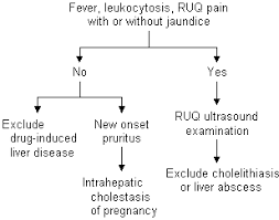 Liver Disease In Pregnancy American Family Physician