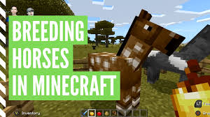 Breeding horses in minecraft can get tricky. How To Breed Horses In Minecraft 2 Simple Steps
