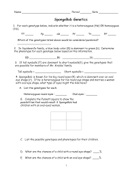 Create a punnett square to show the possibilities that would result spongebob and spongesusie had children. Printable