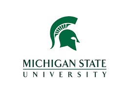 2 (w) x 2.5 (l); Michigan State Logo And Symbol Meaning History Png