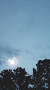 Black And Sky Blue Flowers Blue Night Sky Cloud Clouds Cloudy Moon White Black Dark Trees Evening Full Dusk Dusky Twilight Night Dark R Sky Aesthetic Aesthetic Wallpapers Sky Photography