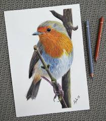 Bird Sitting On Branch Sketch Original Colored Pencil Painting Of A Beautiful Robin Sitting On A Branch Titled Robin Would Make The Perfect Gift For Any Bird Lover Pencil Painting Bird Drawings Drawings