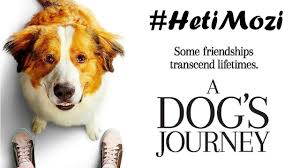 Néznél valami jó filmet?itt megteheted! Kutyapokalipszis Egy Kutya Negy Utja A Dog S Journey Hetimozi Youtube