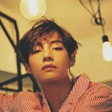 Knight Security Series