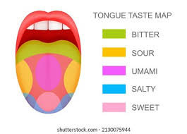 Image result for Taste Sensation