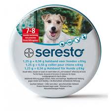 Buy flea collar and get the best deals at the lowest prices on ebay! Seresto Flea And Tick Collar For Dogs Bayer Direct Vet