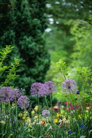 We see this other side as an anathema. 8 Poems Inspired By The Beauty Of Gardening Read Poetry