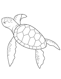 For boys and girls, kids and adults, teenagers and toddlers, preschoolers and older kids at school. Baby Sea Turtle Coloring Page Free Printable Coloring Pages For Kids