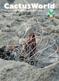 The two book set attempts to describe and illustrate every known cactus species and subspecies. Pdf A New Jewel In The Genus Turbinicarpus Turbinicarpus Graminispinus G F Matuszewski V Mysak Z Jiruse