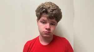 14-year-old beat, sexually assaulted 91-year-old woman, deputies say