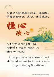 人的缺点就像腐烂的菜 要倒掉 学佛要有恒心 决心 才会成功 a shortcoming is like putrid food it must be thrown away it requires perseverance and determinati words of wisdom wisdom words
