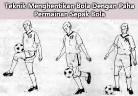 We did not find results for: Cara Menahan Bola Cara Golden