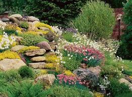 Rock Garden Design Tips 15 Rocks Garden Landscape Ideas Rock Garden Landscaping Rock Garden Rock Garden Design
