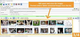Bulk Image Downloader - Download full sized images from almost any web  gallery