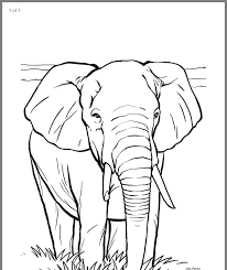 Coloring Pages Elephant Coloring Page Animal Coloring Books Animal Coloring Pages