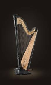 Ric Ric7575 - Profile Pinterest