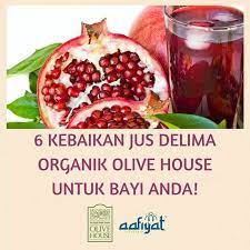 Buah delima mungkin mencegah dan memperlambat penyakit alzheimer. Jus Delima Memang Terbukti Baik Untuk Olive House Brunei Facebook