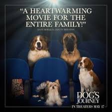 In a dog's journey, the sequel to the heartwarming global hit a dog's purpose, beloved dog. 20 A Dog S Journey Ideas A Dog S Journey Beloved Dog Dogs