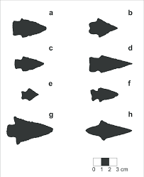 Код товара:tuna 410 м tt. Overview Of The Morphology Of The Analyzed Points A Bom Jardim Velho Download Scientific Diagram