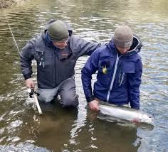 Chehalis, Puget Sound, Willapa Bay Closed in 2020. How Much Longer Do We  Have the Rivers of the Olympic Peninsula?