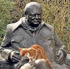 Gallery A Nation Of Cat Lovers Cat Lovers Cats Crazy Cats