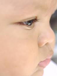 67,847 Ojo En Perfil Fotos de stock