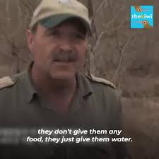 This little girl wanted to teach her puppy how to climb the stairs, and  although it wouldn't be easy, they would give us the cutest moment.