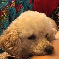 Color in My Garden: An American Gardener's Palette by Louise Beebe Wilder