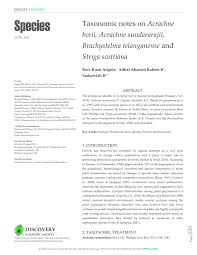 Image result for Brachychloa schiemanniana