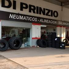 Alineacion Di Prinzio Srl