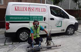 Call us at +65 6288 2828 to see our pest control prices today. Top 5 Reliable Pest Control Services In Singapore 2021
